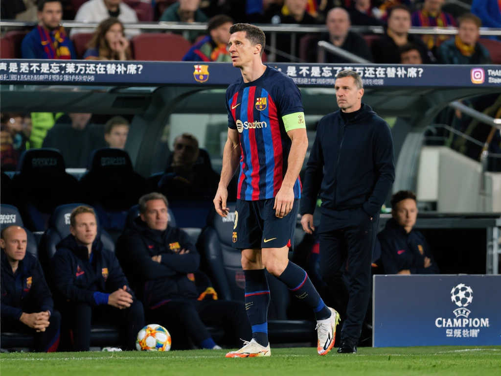 充分展示了 充分展示了