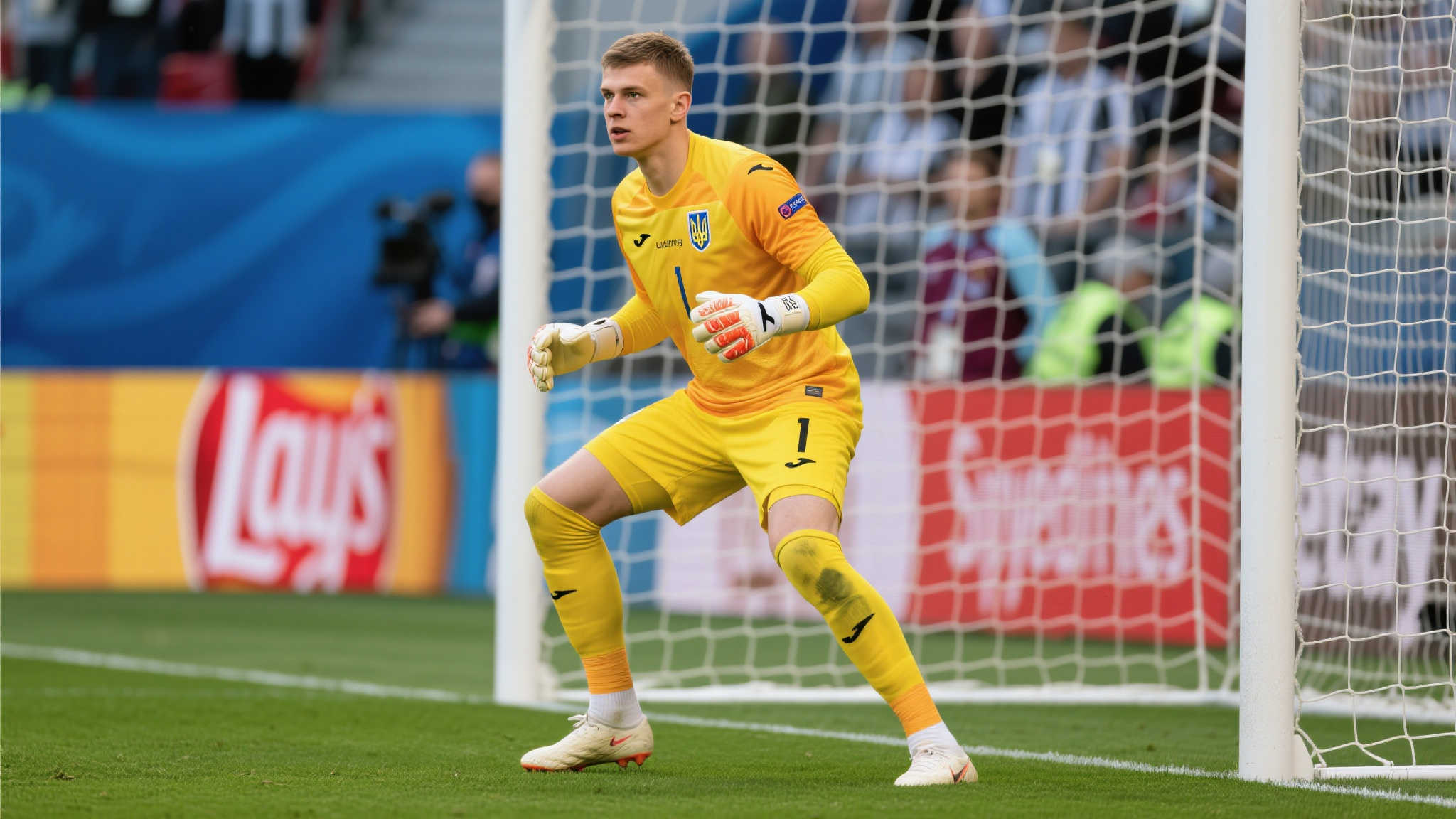 到如今稳坐 到如今稳坐